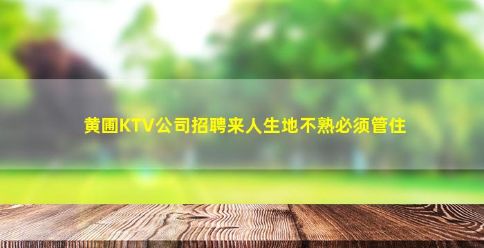 黄圃KTV公司招聘来人生地不熟必须管住